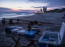Pranzo in spiaggia per bambini: ghiaccio, contenitori e menu freddi
