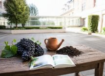 Viticoltura e salute: la prima vigna terapeutica in un ospedale pubblico italiano