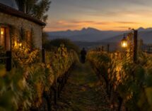 Scopri la Vigna monumentale di Sarragachies e i suoi vini rari