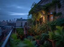 Trasforma il balcone in una microforesta alimentare