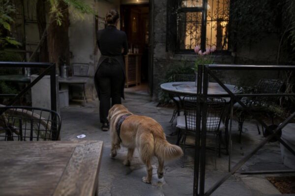 Solo dining e pet-friendly: come i ristoranti si adattano alle nuove esigenze dei clienti