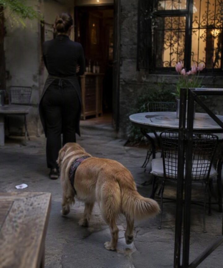 Solo dining e pet-friendly: come i ristoranti si adattano alle nuove esigenze dei clienti