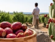Come raccogliere, pulire e cucinare i fichi d'India: guida completa