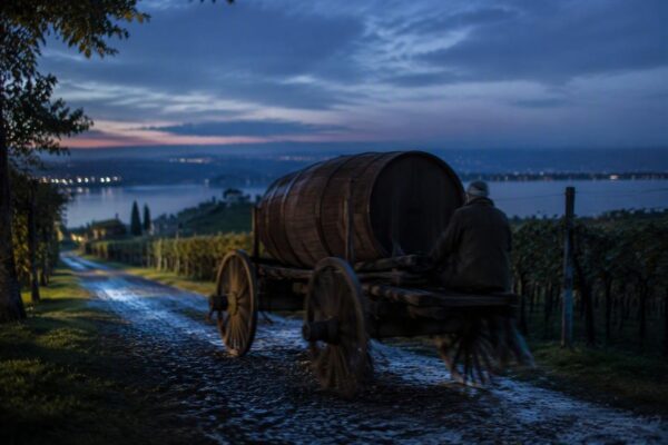 Vendemmia in Valtènesi: Profumi di Mosto ritorna il 4 ottobre
