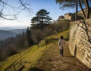 Residenza d'arte Sentieri Creativi: giovani artisti a Cà Matta