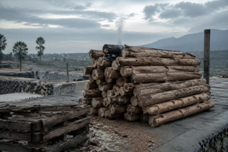 Incendio a Vezzano Ligure: le ultime novità sul rogo nel cantiere del biodigestore