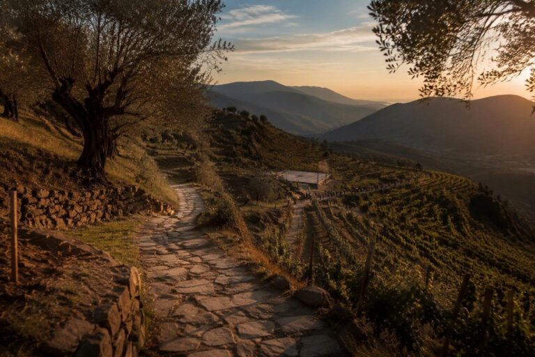 Festival della Valle del Tempo: cultura e natura in Liguria
