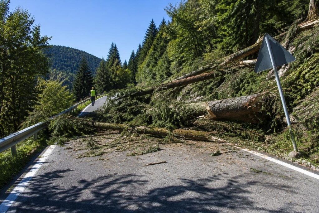 Strada comunale dei Boschi chiusa per alberi caduti nella Val Cichero