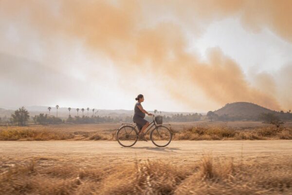 How Wildfire Smoke is Reversing Air Quality Gains for Unborn Babies