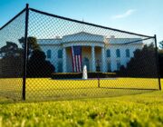 UFC at the White House: Trump's Bold Vision for the South Lawn