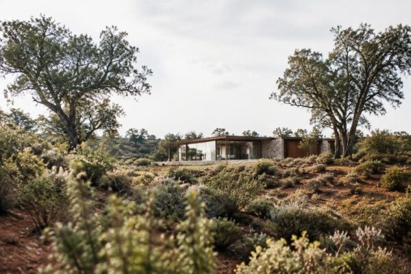 Architettura sostenibile: la casa in provincia di Segovia che si fonde con la natura