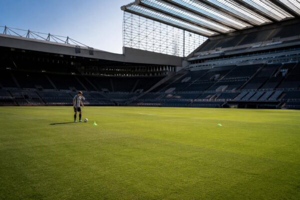 Joelinton resta al Newcastle: niente vendita a gennaio