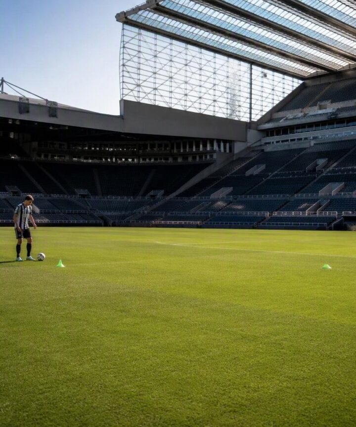 Joelinton resta al Newcastle: niente vendita a gennaio