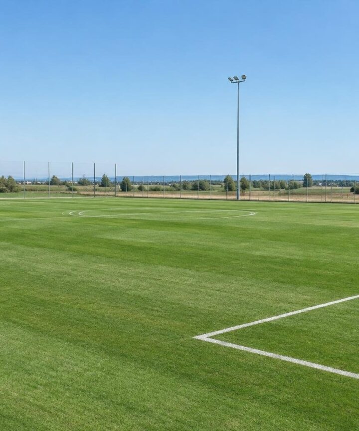 Gara d’appalto per il nuovo impianto sportivo di Mordano