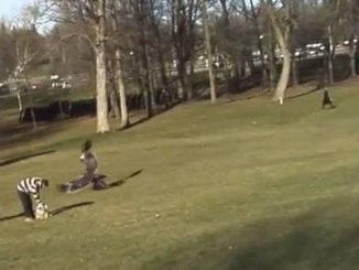 Aigle Royal et le bébé