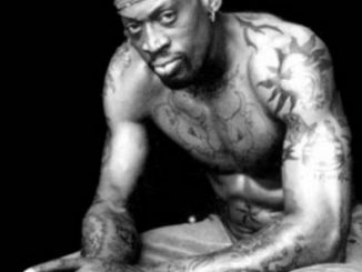 Le joueur de basket Dennis Rodman