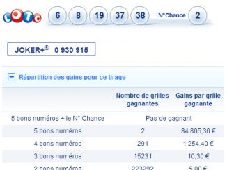 Tirage loto lundi 8 avril 2013