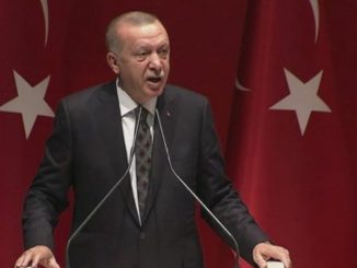 Erdogan Orban UE