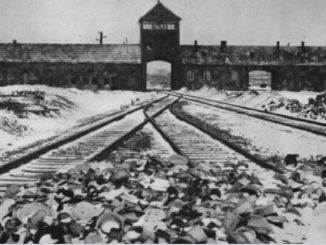 amazon retire decorations auschwitz