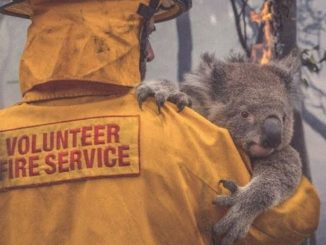 Méga-feu en Australie