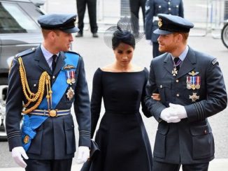 prince william annonce harry meghan