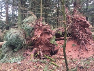 Tempête Ciara France