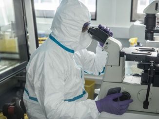 coronavirus france actualites