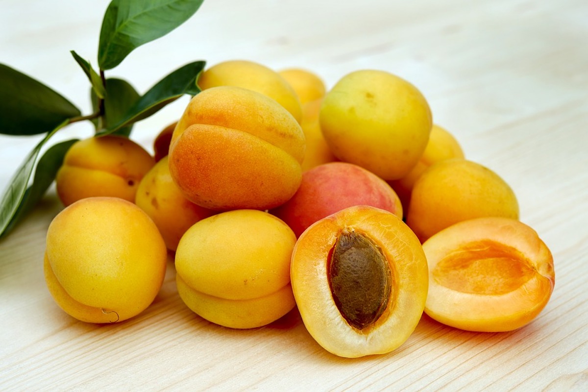 amandes abricot