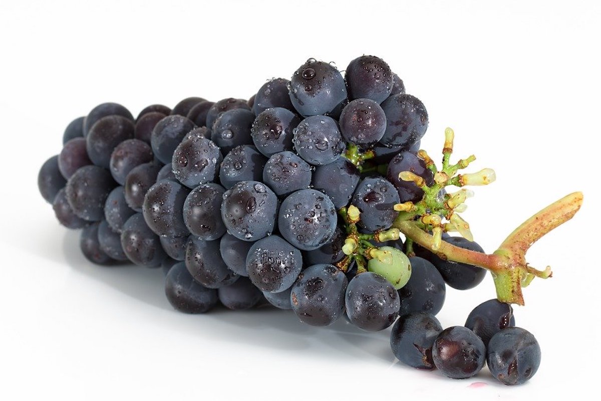 raisins fruits