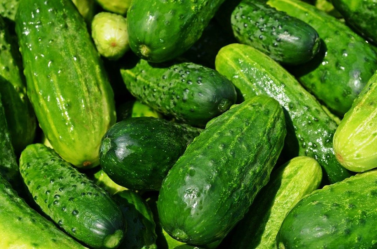 régime concombre une semaine