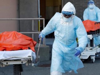 Coronavirus dans le monde