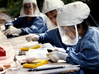 Coronavirus deuxième vague