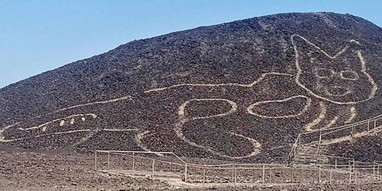 Un géoglyphe de chat découvert au Pérou dans le désert de Nazca