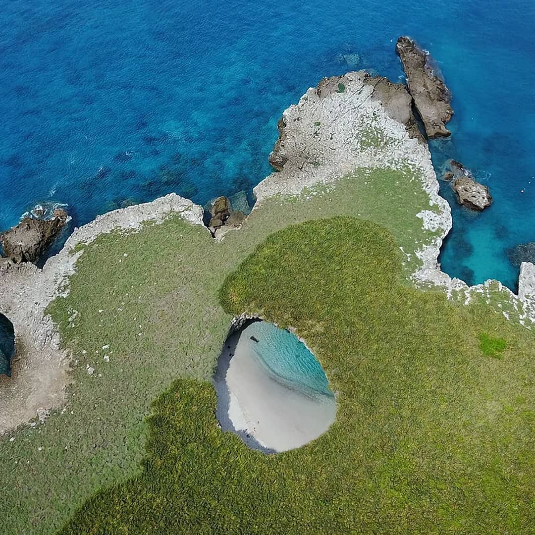 123958687 482448666053286 4162108197145873863 n