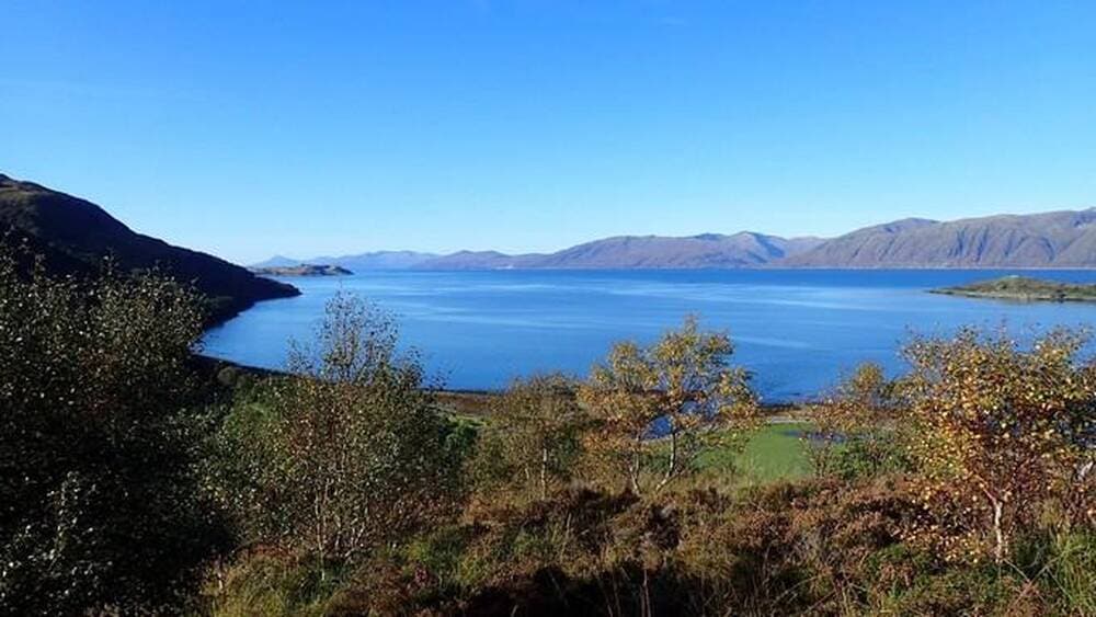 cf06dafc4f1b291063a877354071a181 17034052