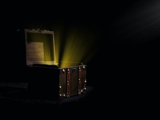 pexels david bartus 366791