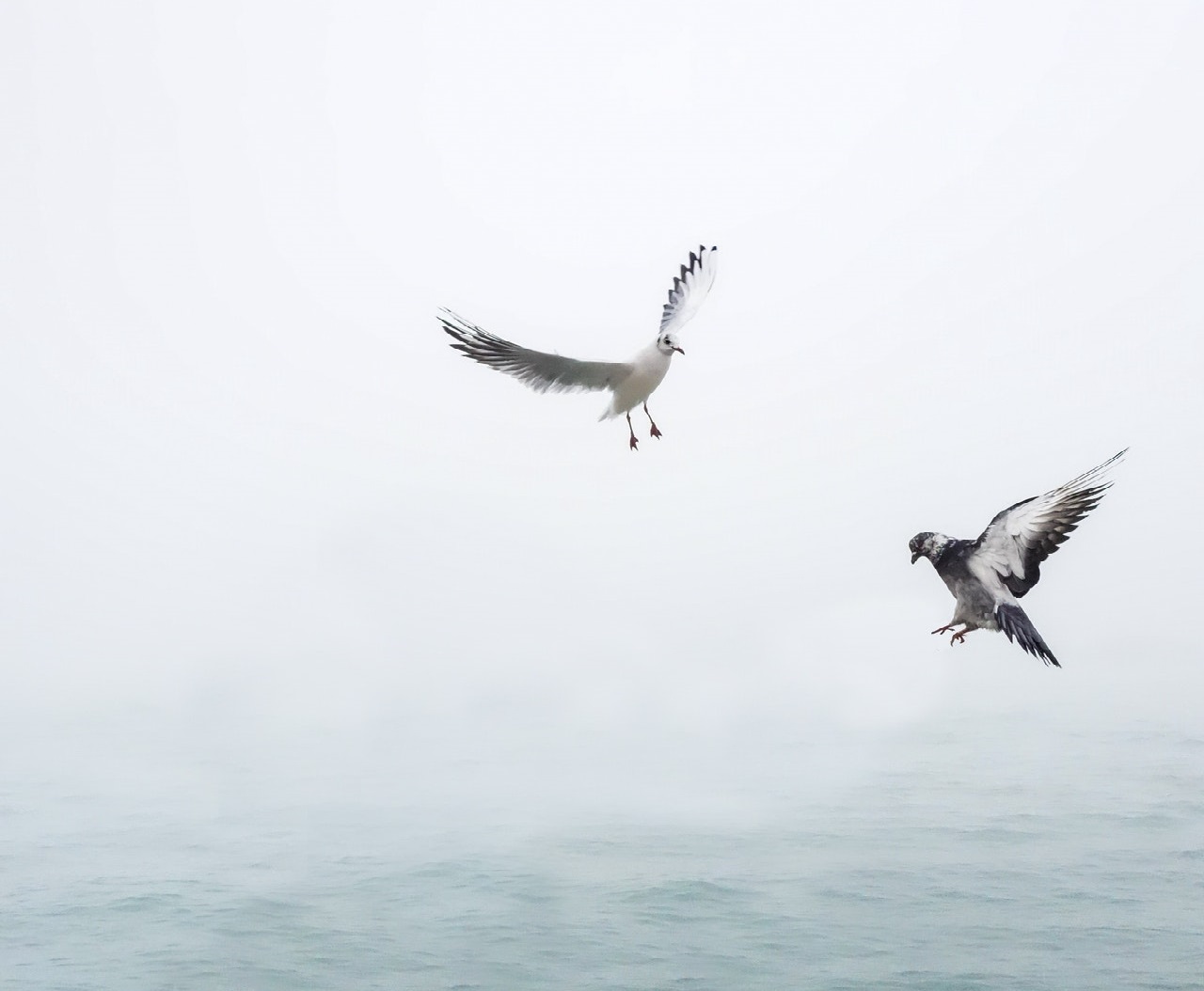 pexels pixabay 207237