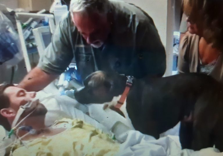 Une chienne souhaite un dernier adieu à son maître à l'hôpital