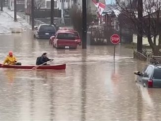 Tempête à Vancouver : un mort, deux disparus et des milliers de personnes déplacées