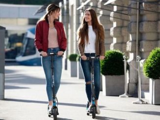 Paris : vitesse des trottinettes électriques limitée à 10 km/h