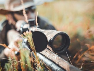 maxim potkin vrjey7 8aie unsplash