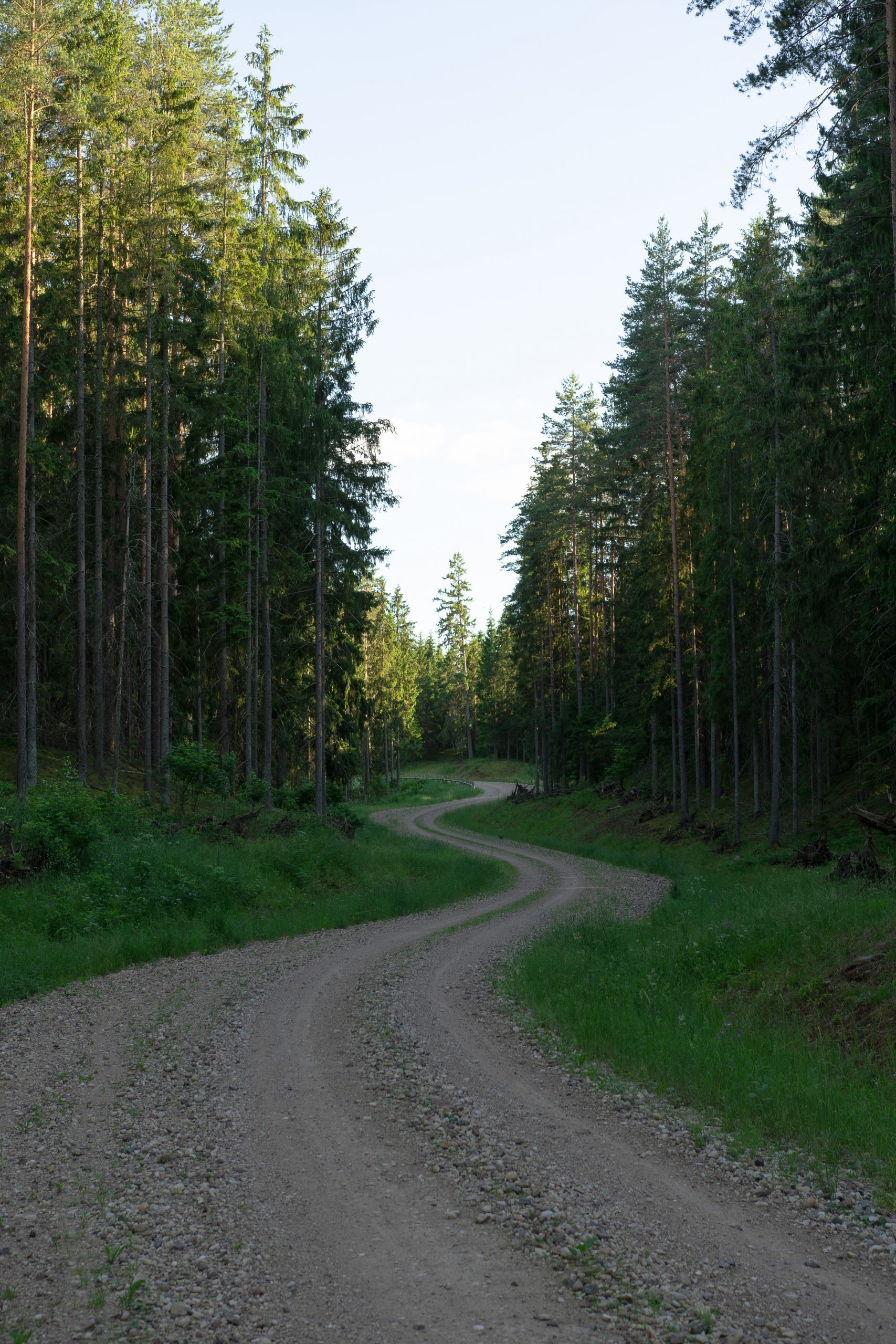 photo 1593030080433 99f157e584e8 150x225