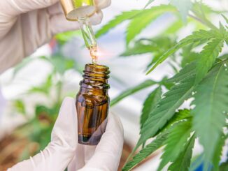 decouvrir lhuile de cbd et ses bienfaits