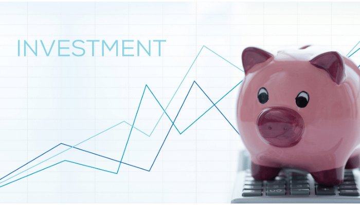 Investimenti 31