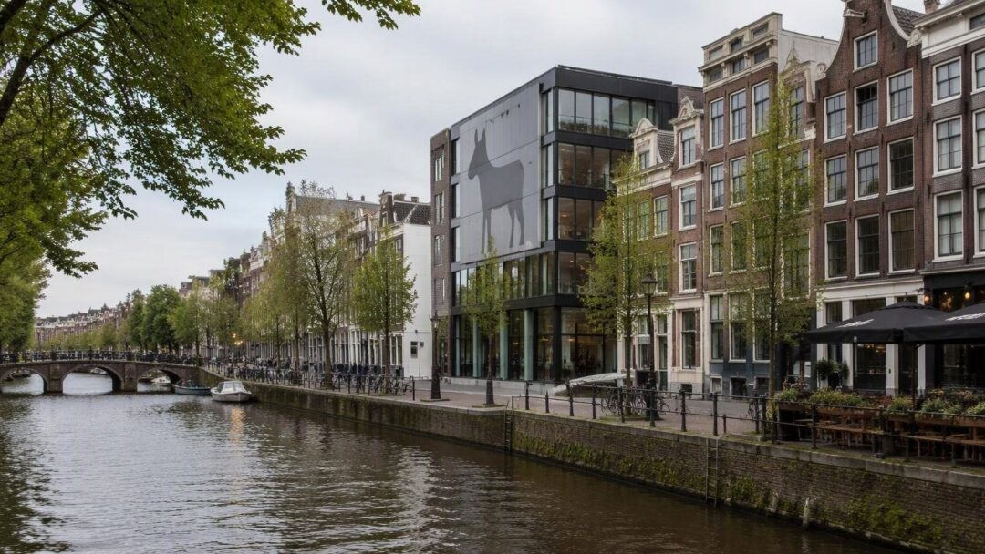 Corgi Insurance brengt startup-verzekeringen naar Amsterdam met $4 miljard waardering