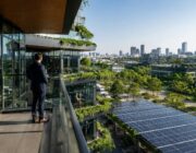 ESG-richtlijnen voor investeringen: rechten, biodiversiteit en CO₂-reductie