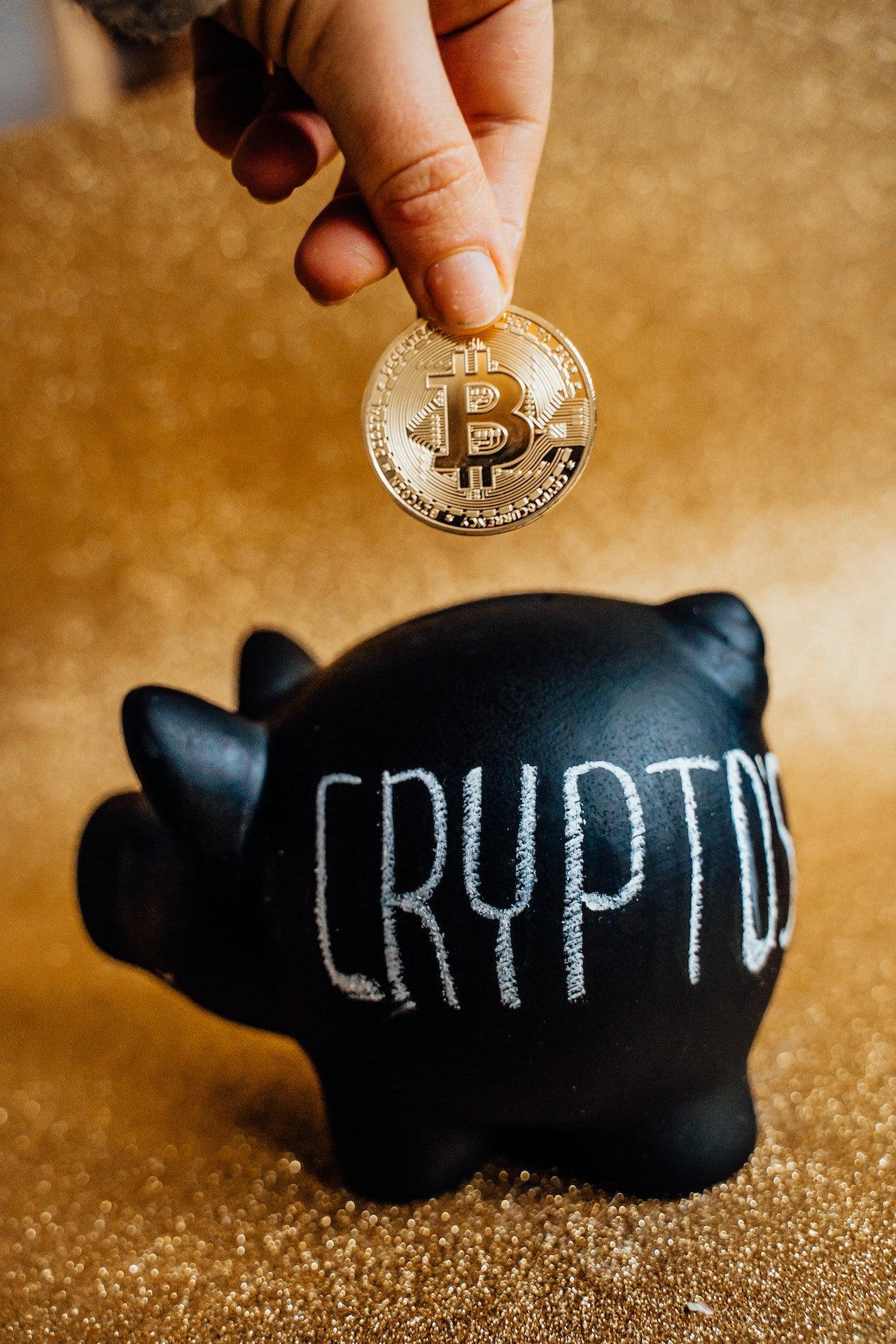 Ist es möglich, die gesamte Blockchain einzusehen?