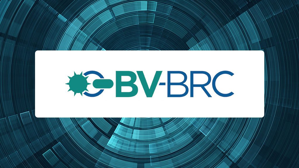 Was ist BSVBRC: wie kaufe ich es und prognostiziere es 2023-2024