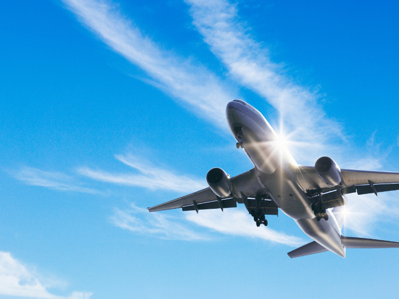 Come compilare check-in Alitalia