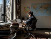 Laurea in Business Administration and Economics: opportunità e sbocchi professionali